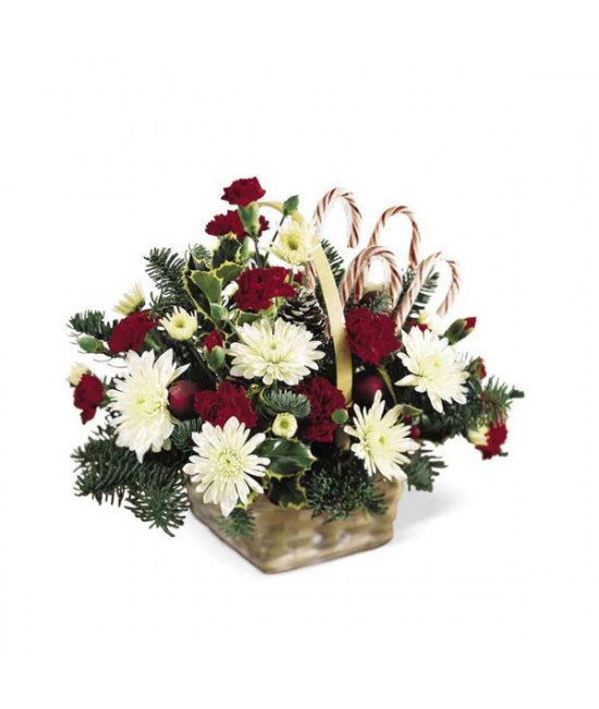 Candy Cane Lane Arrangement
